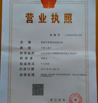 m9t337矮化自根砧蘋果苗優(yōu)點圖片